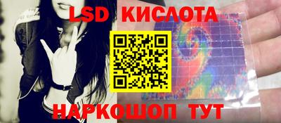 spice Моздок