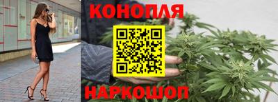 spice Моздок